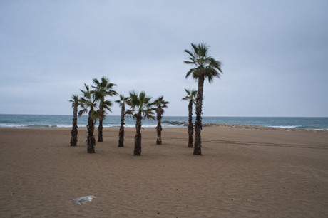 El Campello